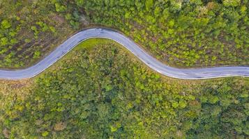 Luftaufnahme einer Straße im Wald foto