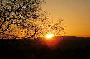 tropisch Meer Sonnenuntergang Baum Himmel Aussicht Hintergrund foto