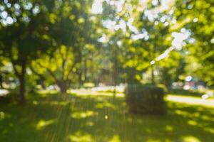 verschwommen Park Hintergrund, hell Sonne im das Nachmittag foto