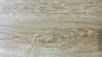 Holz Textur Hintergrund, schön Textur zum Design. foto