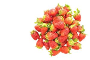 Erdbeerfrucht auf weiß foto