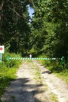 ein wenig Junge auf ein Straße im das Wald. Achtung auf das Straße. das Kind ist im Achtung auf das Straße foto