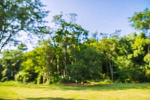 abstrakter Unschärfepark mit grüner Wiese foto