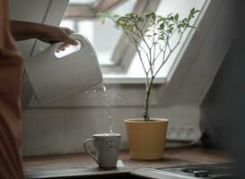 Wasser fließend von das elektrisch Kessel zu das Tasse foto