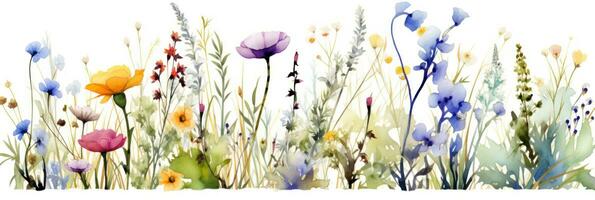 Aquarell Blumen- Rand foto