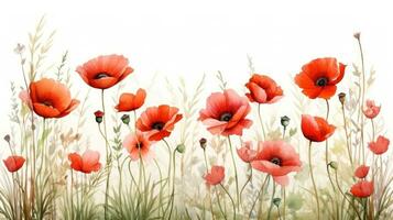 Aquarell Mohn Blumen Hintergrund foto