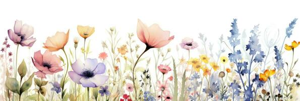 Aquarell Blumen- Rand foto