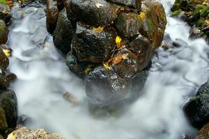 Wasser und Stein. foto
