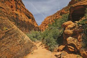 Trail in eine Wüstenschlucht foto