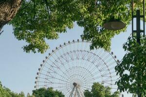 das Ferris Rad und Bäume im ein sonnig Tag. foto