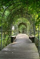 das Gehweg im das Tunnel im ein Öffentlichkeit Park. foto