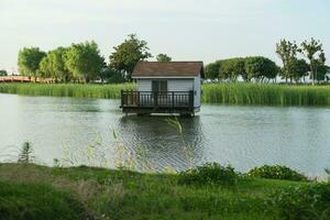 das Hütte Über das See im das Öffentlichkeit Park. foto