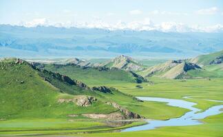 Wicklung Flüsse und Wiesen. Foto im bayinbuluke Wiese im Xinjiang, China.