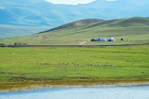 Wicklung Flüsse und Wiesen. Foto im bayinbuluke Wiese im Xinjiang, China.