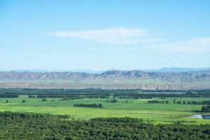 Wiese und Berge im ein sonnig Tag. foto