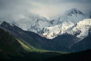 schneebedeckt Berge und Bäume im ein wolkig Tag. Khan Tengri Berg im Xinjiang, China. foto