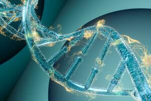 DNA und Chromosomen, Gene und Vererbung,3d Wiedergabe. foto