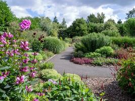 Aussicht Über ein Pfad durch ein Sommer- Garten mit Blumen foto