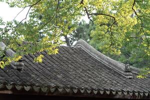 das Herbst im das traditionell Park im China foto