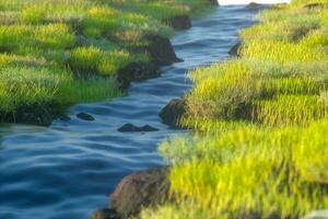 das Fluss zwischen das Berge im ein sonnig Tag, 3d Rendern foto