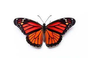 schön rot Monarch Schmetterling isoliert auf Weiß Hintergrund. Schmetterling. generativ ai foto