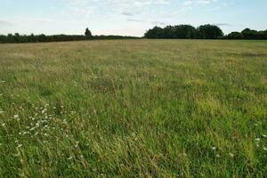 hoch Winkel Aufnahmen von britisch landwirtschaftlich Bauernhöfe beim Landschaft Landschaft in der Nähe Luton Stadt von England großartig Großbritannien von Vereinigtes Königreich. Aufnahmen war gefangen mit Drohnen Kamera auf August 19., 2023 foto