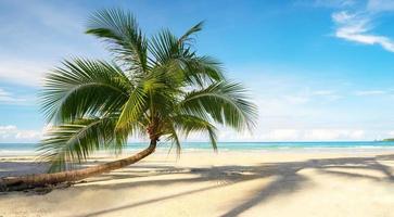 schöner tropischer Strand und Meer mit Kokospalme unter blauem Himmel foto