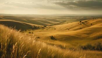 still Wiese, rollen Landschaft, Grün Gras, Sonnenuntergang Über Berge generiert durch ai foto