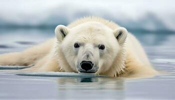 süß Panda im Arktis Natur, suchen beim Kamera, nass Pelz generiert durch ai foto