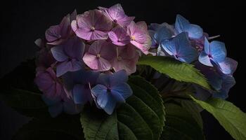 Frische und Schönheit im Natur ein beschwingt lila Hortensie blühen generiert durch ai foto