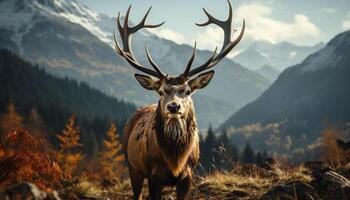 majestätisch Hirsch Stehen im still Wald, umgeben durch schneebedeckt Berge generiert durch ai foto