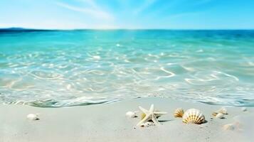 Muscheln und Seestern beim das sandig Strand. Sommer- Strand Hintergrund. foto