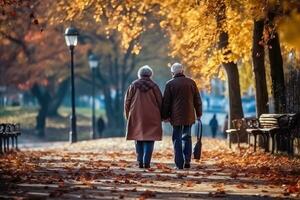 zeitlos Liebe - - Alten Paar Herbst Park Ausflug - - generativ ai foto