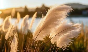 strahlend Schilf Blumen inmitten der Natur Segeltuch - - generativ ai foto