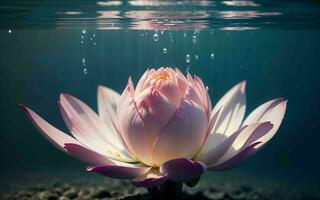 das exquisit Rosa Lotus blühen untergetaucht im Ruhe ai generiert foto