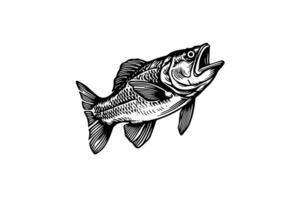 Pike Hand gezeichnet Gravur Fisch isoliert auf Weiß Hintergrund. Vektor skizzieren Illustration. foto