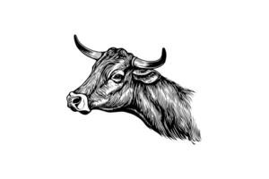 Kuh Kopf mit Hörner Logo Gravur Stil isoliert Vektor Illustration. foto