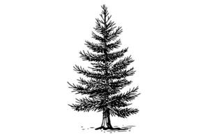 Weihnachten Baum Vektor Illustration. Hand gezeichnet, Gravur, Tinte, skizzieren. foto