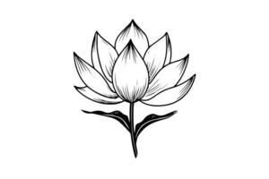 ein Lotus Lilie Wasser Blume im ein Jahrgang Holzschnitt graviert Radierung Stil Vektor Illustration. foto