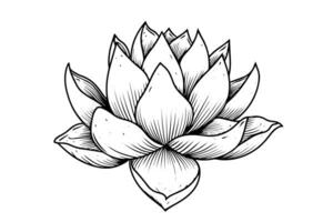ein Lotus Lilie Wasser Blume im ein Jahrgang Holzschnitt graviert Radierung Stil Vektor Illustration. foto