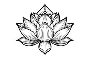 ein Lotus Lilie Wasser Blume im ein Jahrgang Holzschnitt graviert Radierung Stil Vektor Illustration. foto