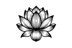 ein Lotus Lilie Wasser Blume im ein Jahrgang Holzschnitt graviert Radierung Stil Vektor Illustration. foto