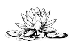 ein Lotus Lilie Wasser Blume im ein Jahrgang Holzschnitt graviert Radierung Stil Vektor Illustration. foto