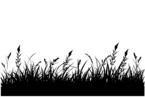 abstrakt Hintergrund mit schwarz Silhouetten von Wiese wild Kräuter und Blumen. Vektor Illustration. foto