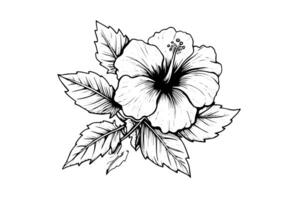 Hibiskus Blumen im ein Jahrgang Holzschnitt graviert Radierung Stil. Vektor Illustration. foto