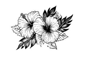 Hibiskus Blumen im ein Jahrgang Holzschnitt graviert Radierung Stil. Vektor Illustration. foto