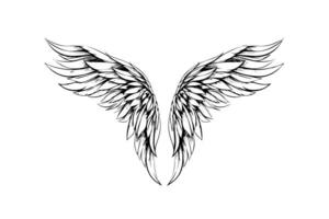 Engel Flügel Tinte skizzieren im Gravur Stil. Hand gezeichnet Kotflügel Vektor Illustration. foto