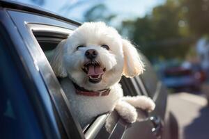 süß Hund suchen aus von Auto Fenster , ai generiert foto