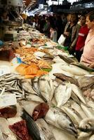 Fisch Kunden beim das Markt. foto