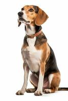 ein Beagle Hund Sitzung im Vorderseite von ein Weiß Hintergrund generativ ai foto